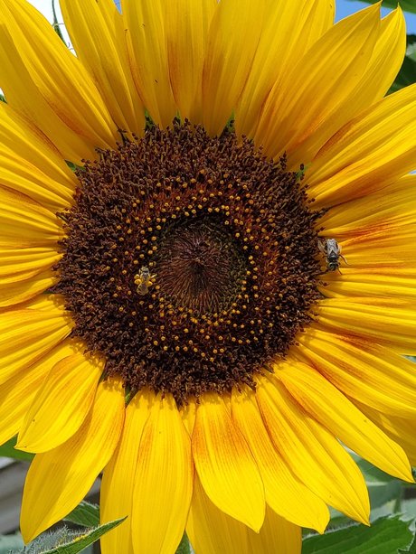 méga fans uniquement nus sexy photo