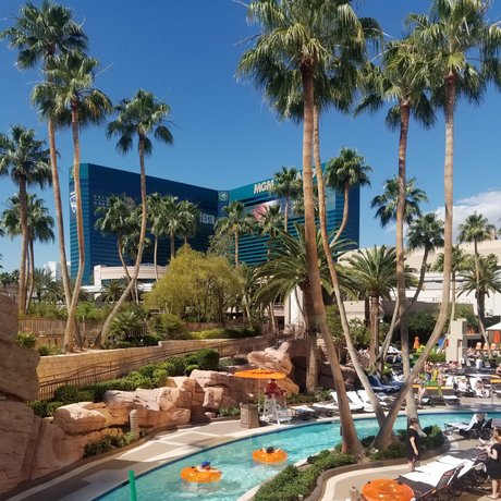 Mr Rose City_ modèle des photos