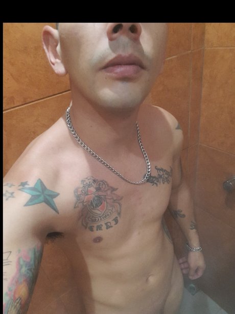 El pato art étoile images