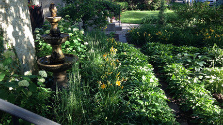 The Real Patriarch Smith modèle de sexe des photos