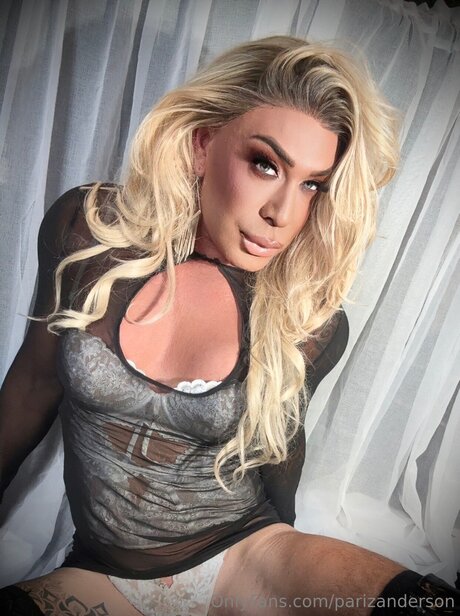 Parizanderson étoile de l'art img