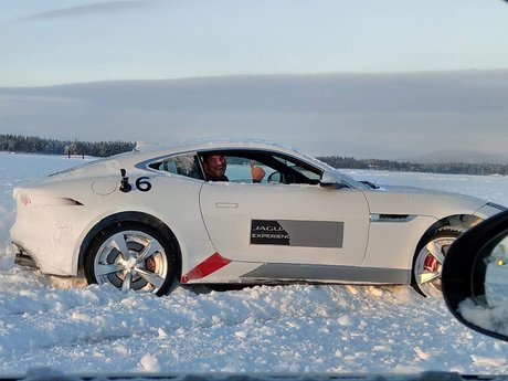 Permanantcoasthols star érotique image