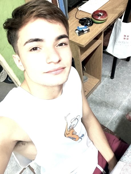 El peripatetico modèle joli image