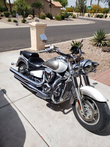 Paul Pettit star érotique img