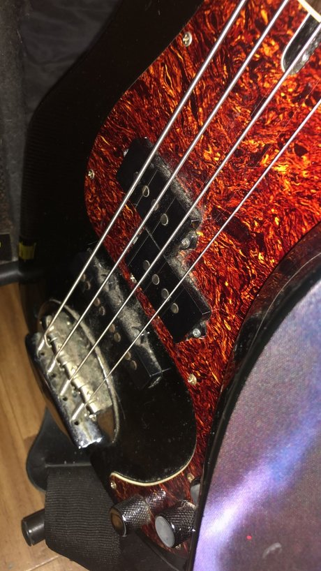 Paulo Franzmann modèle sympa image