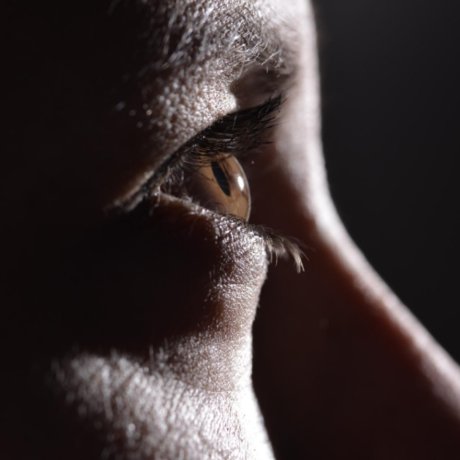 Paula Allen actrice pornographique image