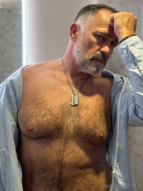 Daddy bear belle étoile galerie