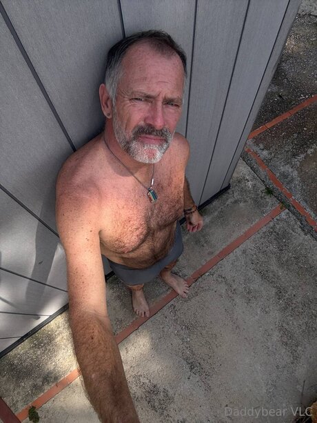 Daddy bear modèle de haute qualité images