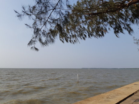 Chiba meilleure actrice des photos