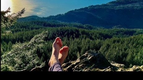 phdfooty art étoile galeries