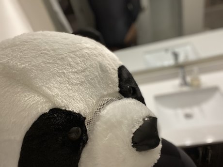 PlayBear modèle magnifique photo