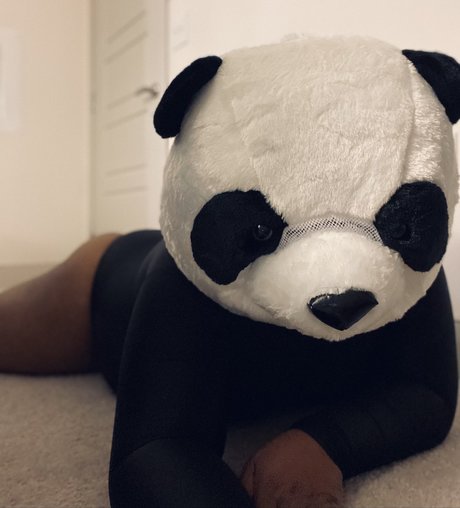 PlayBear étoile sexy des photos