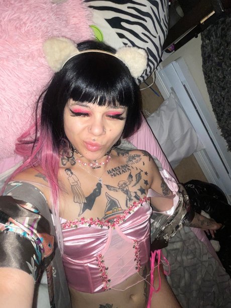 Kitten Spice modèle galeries