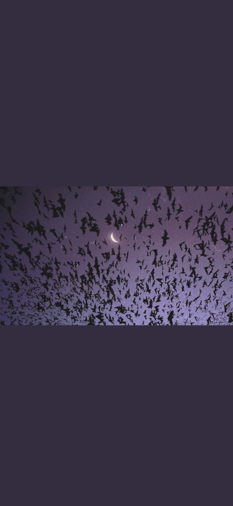 Lilith Faye star du porno gratuite image