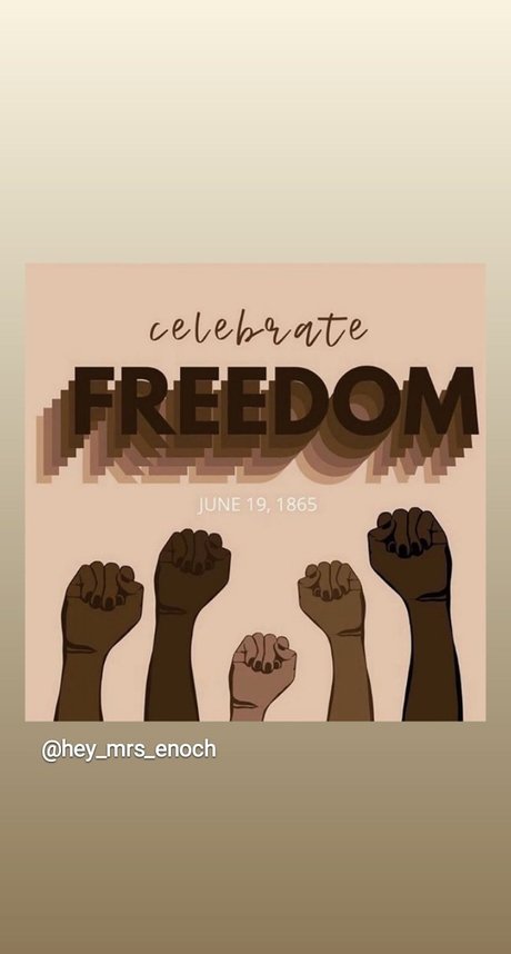 Piper P modèle joli images