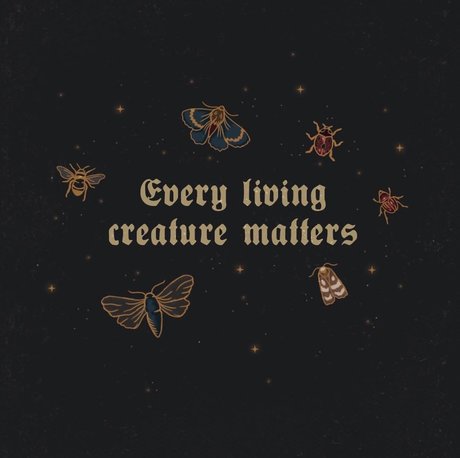 Tokyo_ star du porno belle images