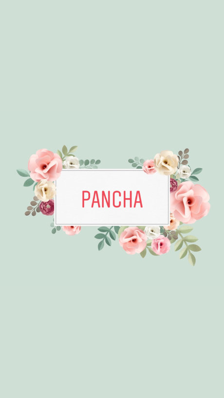 Pancha_ art modèle img