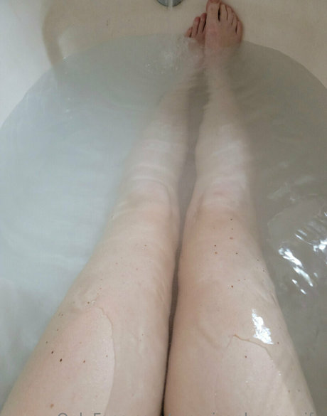 americanhousewife top star collection