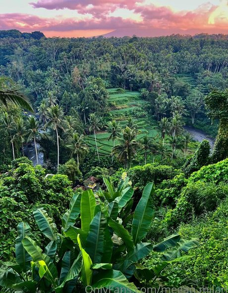 bikini ado onlyfans pornographique adulte archive