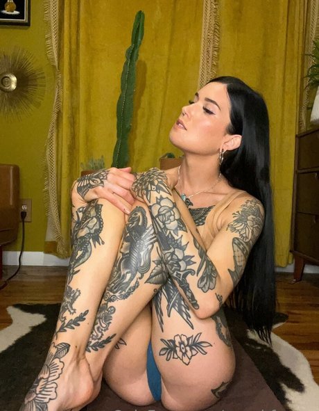 pawg épais uniquementfans chaud en haute qualité img