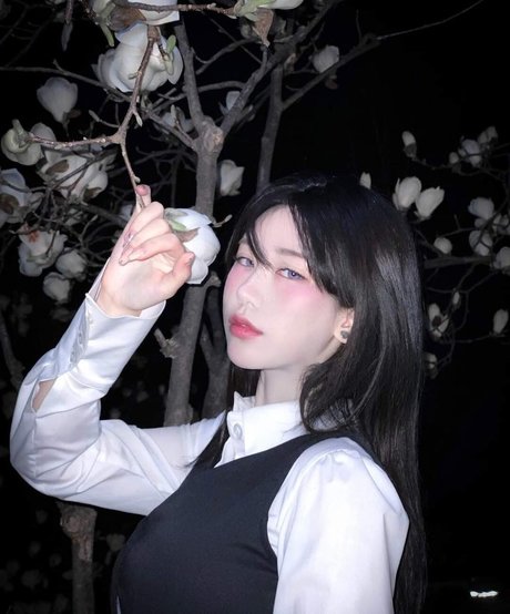 Naughty Rabbit star du porno érotique collection