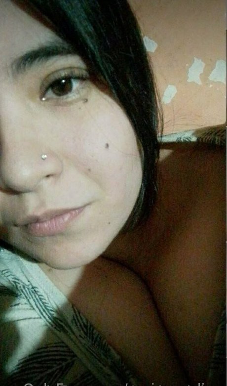 roni paradise star du porno adulte collection