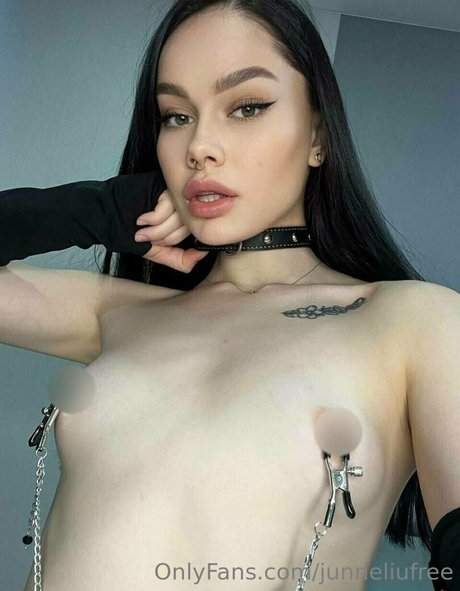 junneliufree étoile hd photos