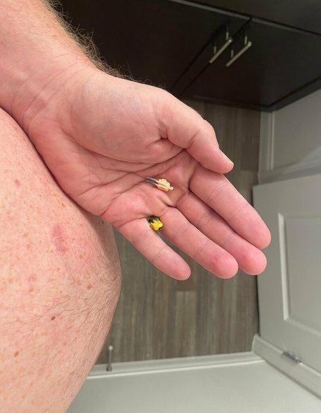 outihulk star du porno parfaite image