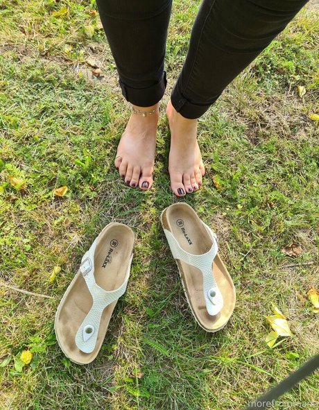 fans anaux courbés uniquement sexy de haute qualité img