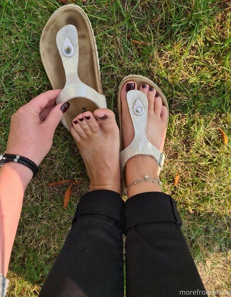 morefrommanu nus de stars du porno galeries