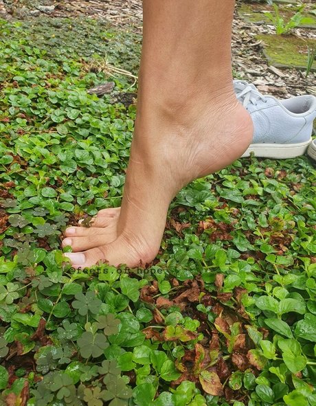 hope feet nus étoiles galerie