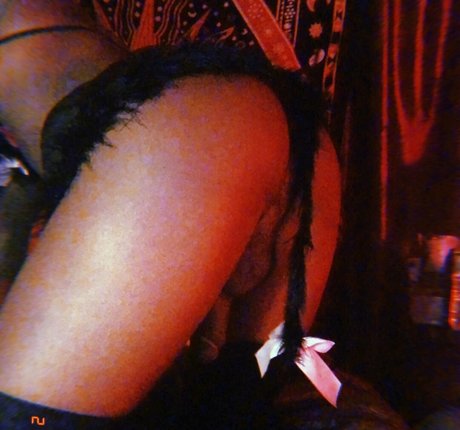 vanniallfree actrice xxx galeries