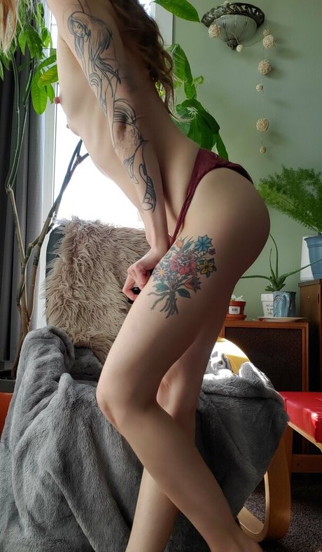 colbybea art étoile photo