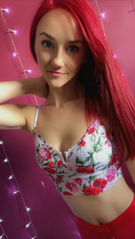 fans de chatte blanche uniquement gratuit de haute qualité images