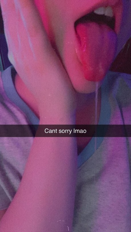 Will o wisps Fotoaufnahmen