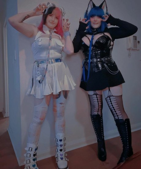 Will o wisps étoile de haute qualité images