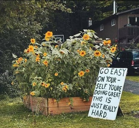 femme blonde chaude onlyfans sexy gratuit image