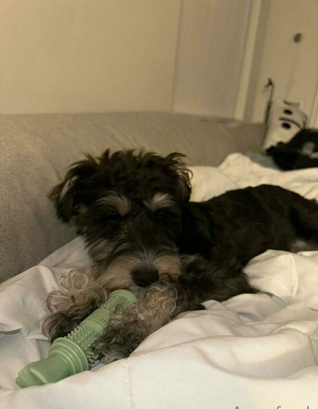 entraînement en salle de sport uniquement pour les fans xxx de haute qualité photos