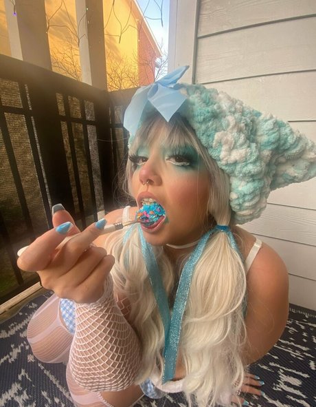 plantsimpp Fotoaufnahmen