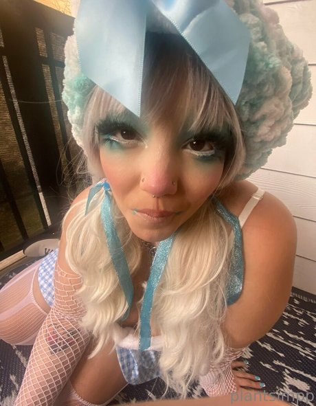 plantsimpp étoile de haute qualité img