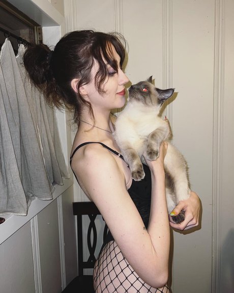 gray modèle chaud image