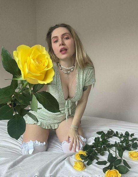 your paradisse étoile sympa img