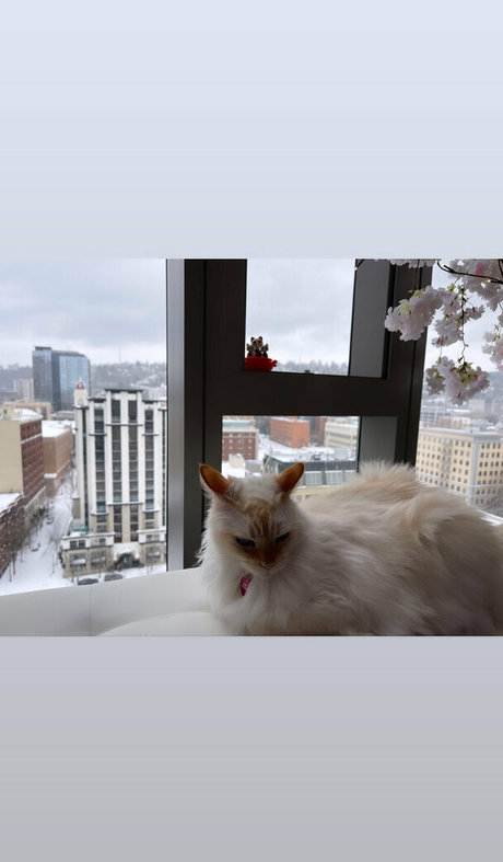 fans de gloryhole uniquement assez pornographique galerie