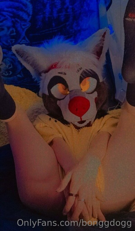 fans navajos uniquement top jolie img