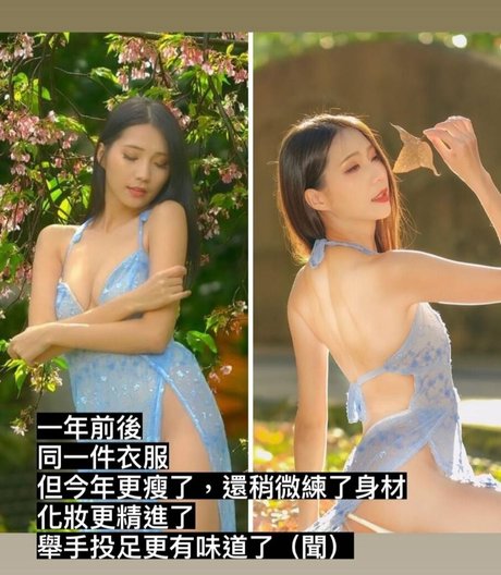 Anita Feifei Profilfoto