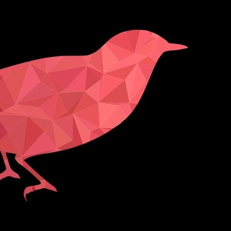 Corbeau Rouge étoile nue images