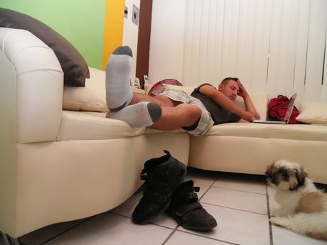 Daily Stinky Socks modèle magnifique collection