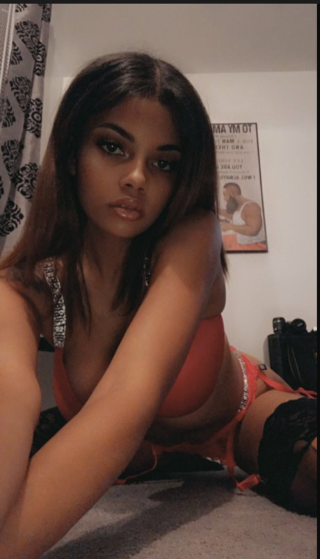 Daisie sexe star du porno collection