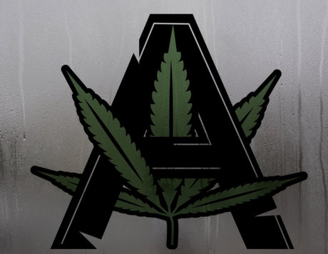 ClubArrogance star du porno hd galerie