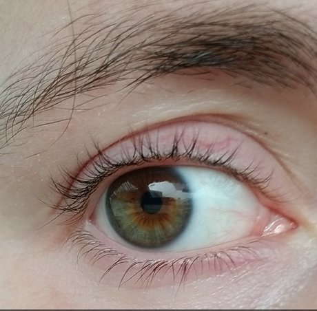 PrettyTransBoy étoile adulte photo